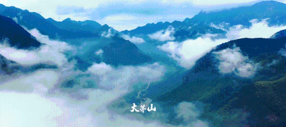 《鬼谷八荒》可以炼丹资质等级介绍